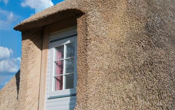Lennel thatch roof disadvantages